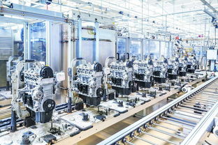 招辦老師解讀12組大學(xué) 孿生專業(yè) ,看似相近,其實差別很大